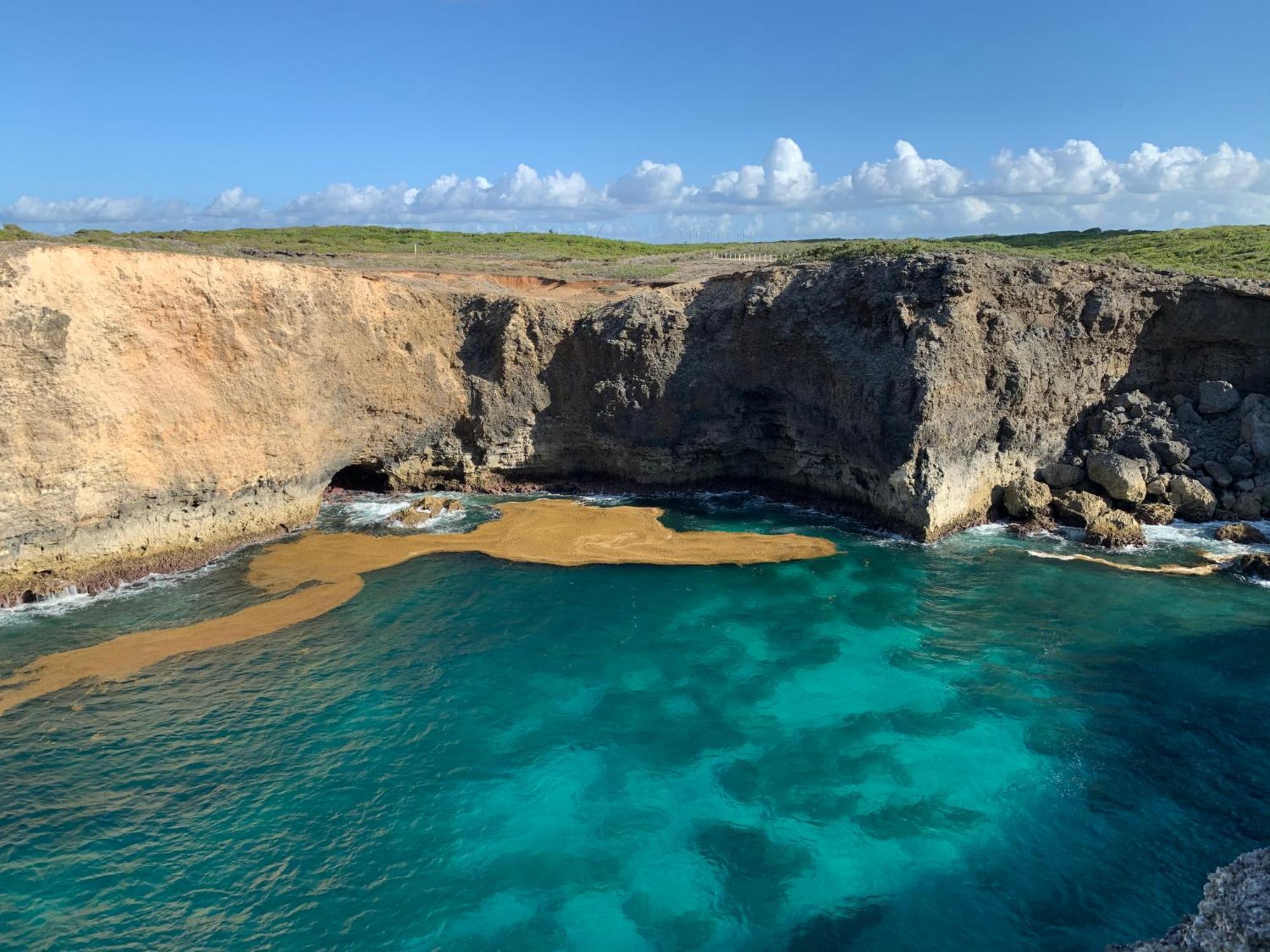 La Maison Creole Du Flamboyant - Proche Des Plages Anse-Bertrand Eksteriør billede