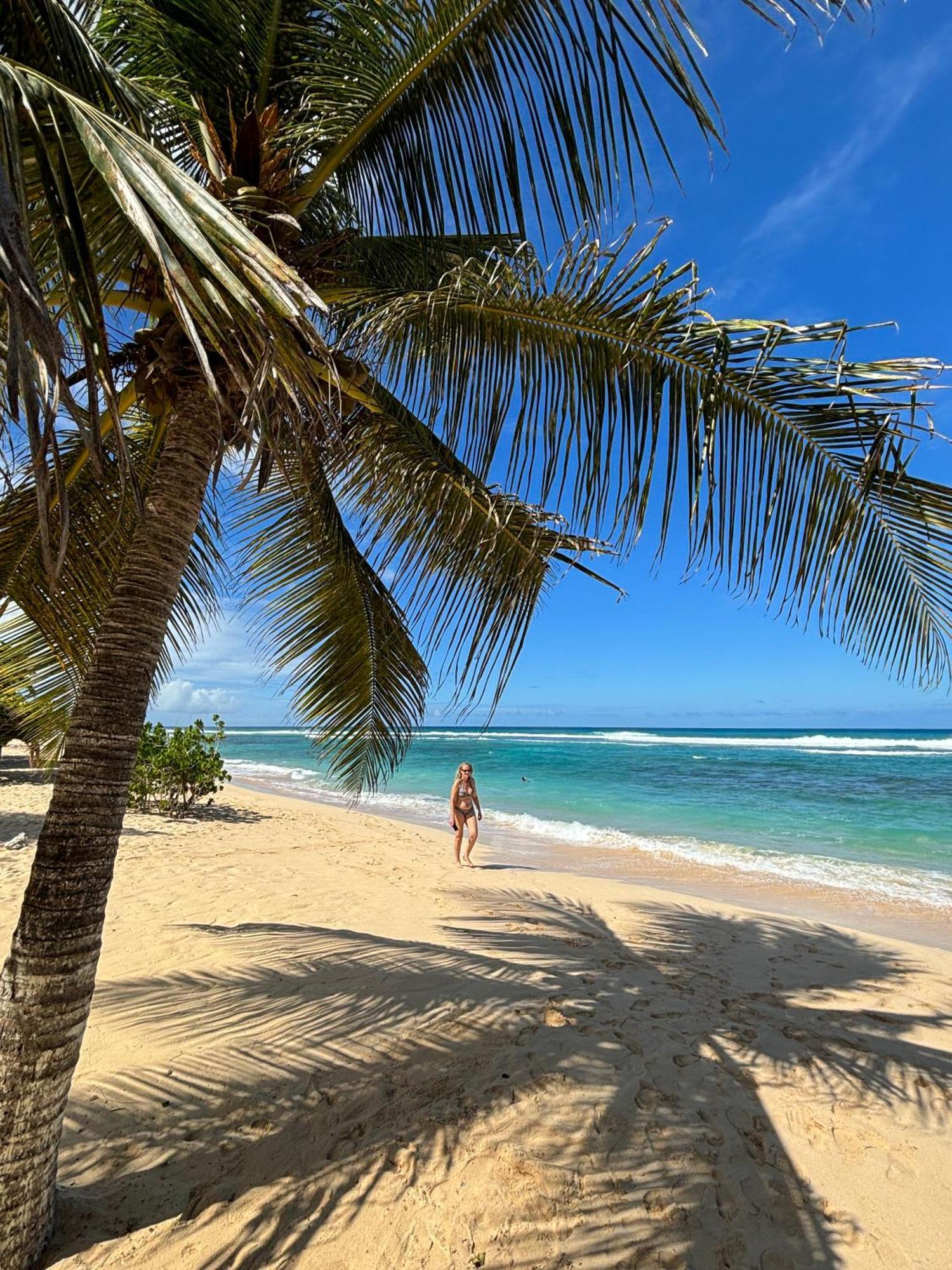 La Maison Creole Du Flamboyant - Proche Des Plages Anse-Bertrand Eksteriør billede