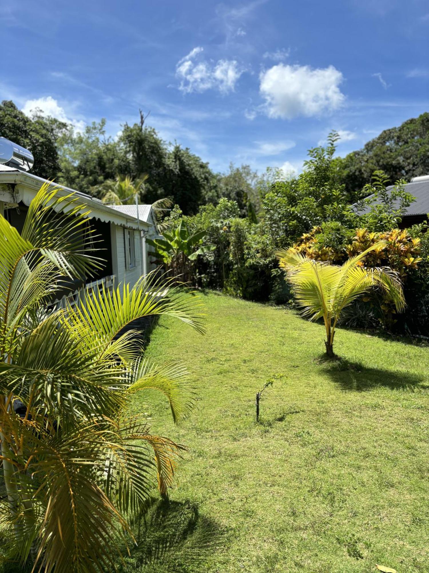 La Maison Creole Du Flamboyant - Proche Des Plages Anse-Bertrand Eksteriør billede